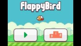 Flappy Bird Tips And Tricks Guide Hints Cheats And Strategies N G