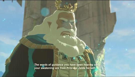 Top 5 Legend Of Zelda Breath Of The Wild Characters The Arcade N4g