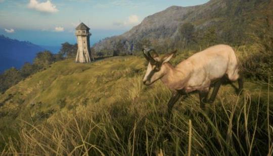 Explore New Zealand With TheHunter Call Of The Wild Te Awaroa National Park DLC N4G