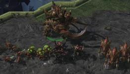 zerg units